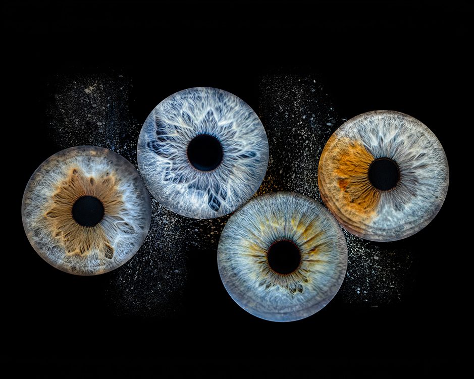 iris